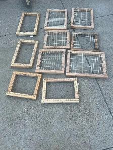 pigeons supply - Photo 4