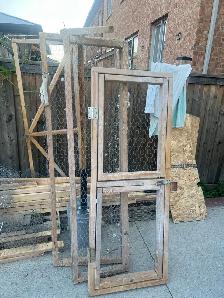 pigeons supply - Photo 5