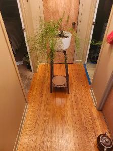 Je vend pour mettre des plantes et je donne la plante et le pot
