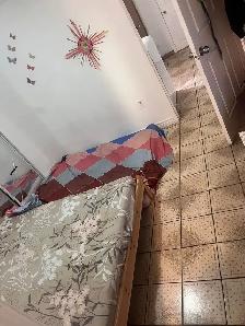 RENT IMMEDIATELY ( WALKOUT 1 BHK NSMT) IN MALTON - Photo 2