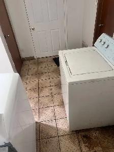 RENT IMMEDIATELY ( WALKOUT 1 BHK NSMT) IN MALTON - Photo 4