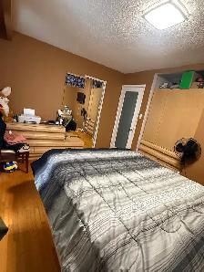 MASTER BEDROOM ( UPPER FLOOR) FOR RENT IN MALTON - Photo 3