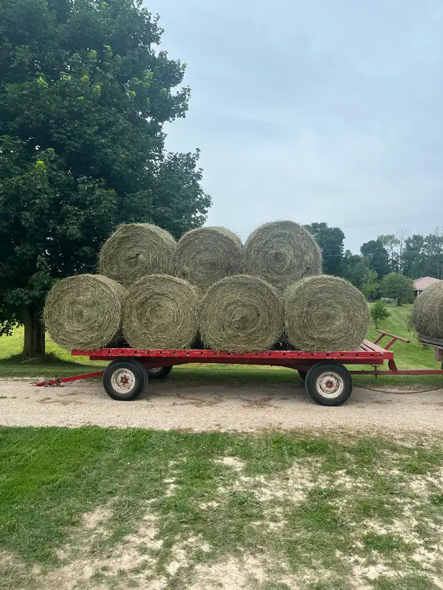 Second cut hay for sale