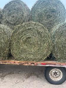 Second cut hay for sale - Photo 2