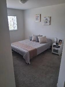 Pet Friendly Townhouse - Photo 5