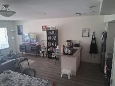 Pet Friendly Townhouse - Photo 9