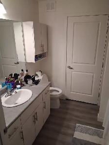 Pet Friendly Townhouse - Photo 12