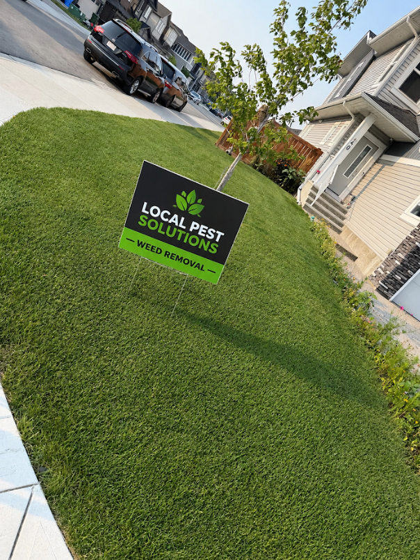Professional Weed removal Service
