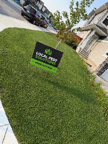 Professional Weed removal Service