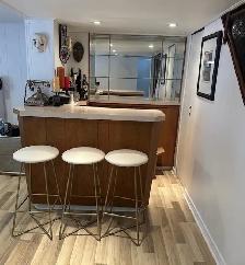 Furnished Walkout Basement $1,500 All-Inclusive in Etobicoke - Photo 4