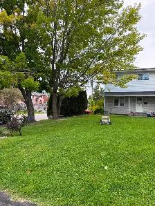 Rarely Available Westboro 4-Bedroom Home - October 1 - Photo 14