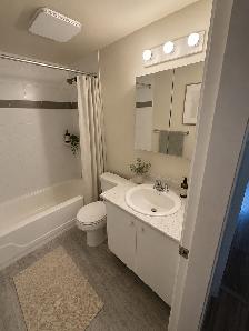 Large one bedroom - Photo 2