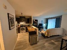 BROSSARD | Charmant 3½ | Secteur C, près de tout! - Photo 11