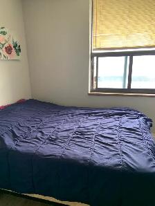 Room for Rent in Scarborough-Bright, Cozy, and Convenient - Photo 3