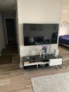 Room for Rent in Scarborough-Bright, Cozy, and Convenient - Photo 7