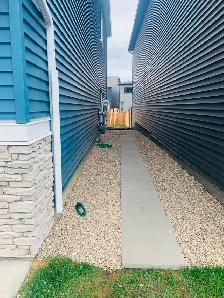 Exclusive spacious 1-bedroom flat basement for rent