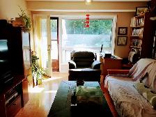 One bdrm in a house ground floor Steeles & Don Mills - Photo 4