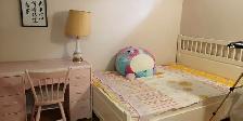 One bdrm in a house ground floor Steeles & Don Mills - Photo 9