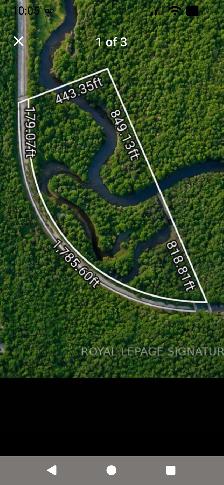 19.598 acres of riverfront property for sale in Emsdale - Photo 2