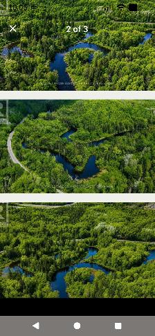 19.598 acres of riverfront property for sale in Emsdale - Photo 3