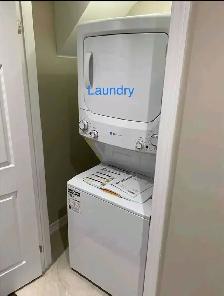 Legal Basement Apartment for Rent - Photo 12