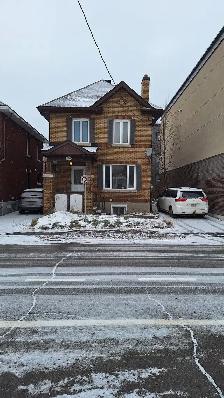 Sandy Hill (Somerset st) Female Only – all-inclusive price - Photo 3