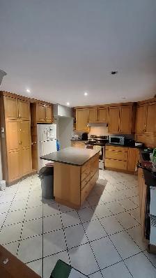 Sandy Hill (Somerset st) Female Only – all-inclusive price - Photo 4