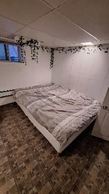 Sandy Hill (Somerset st) Female Only – all-inclusive price - Photo 6