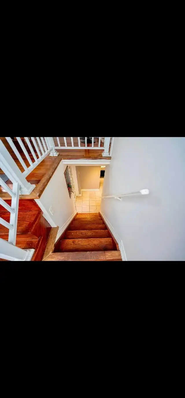 Basement and rooms for rent