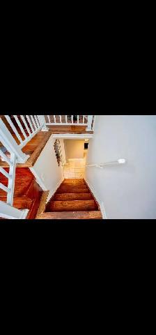 Basement and rooms for rent