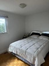 A Single House 6 Bedrooms near Algonquin College $6000/month Now - Photo 6