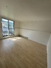 Grand appartement 4 1/2 à louer, 133 De Pise, Vimont, Laval - Photo 4