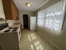 Great Location, Nice 2 bedrooms at SouthWest of Regina for Rent - Photo 4