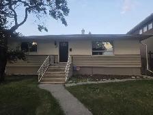 Looking for a roommate