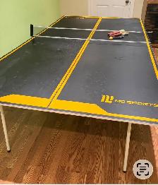 ping pong table