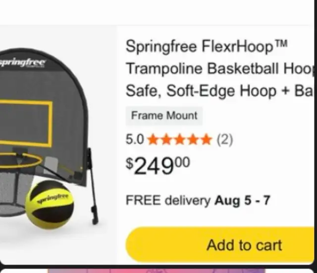Trampoline basketball hoop