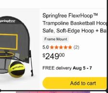 Trampoline basketball hoop