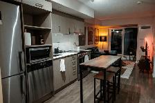 2 Bed 1 Bath Condo Apartment - Photo 5