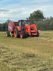 Brome Hay Bales.   Only 150 remaining Excellent Quality - Photo 3