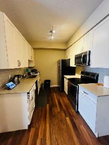 1 Bedroom 1 Bathroom Apartment – Lease Takeover in Ellerslie - Photo 3