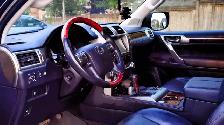 2010 Lexus GX460 - Photo 10