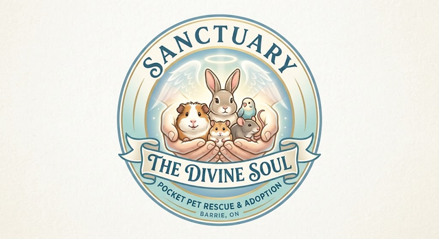 Looking for Animal Lovers to Assist with a Non-Profit.