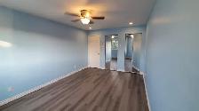 Large 4 1/2 (2 beds) Upper/Bright in DDO Sunnybrooke Train REM - Photo 3