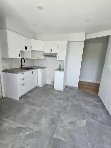 Renové, 4 - 1/2, Montréal, Ville Marie est, 10 minutes de Metro - Photo 4