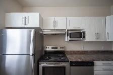 377 Brandon Avenue - Two-Bedroom Suite (Type A) Apartment for Re - Photo 4