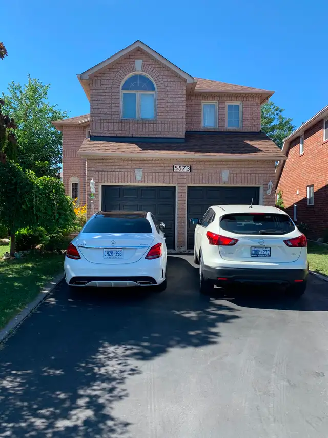 1 Bedroom Basement Apartment