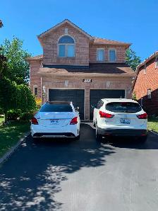 1 Bedroom Basement Apartment