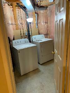 1 Bedroom Basement Apartment - Photo 9