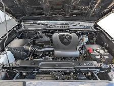 2019 Toyota Tacoma - Photo 10