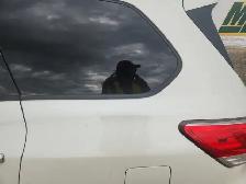2015 Nissan Pathfinder - Photo 36